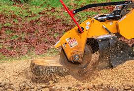 Best Tree Trimming and Pruning  in Eastport, NY